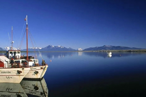 智利市场 智利市场