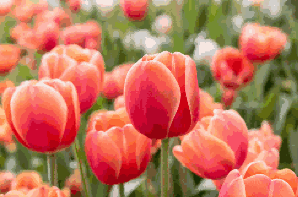 海关数据,凯发K8海关数据,荷兰海关数据